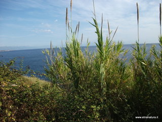 Acque_Grandi - 06-11-2012 08-49-14.JPG